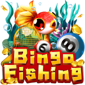Bingo Fishing bigbuny fishing game