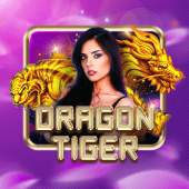 Dragon Tiger bigbuny live casino